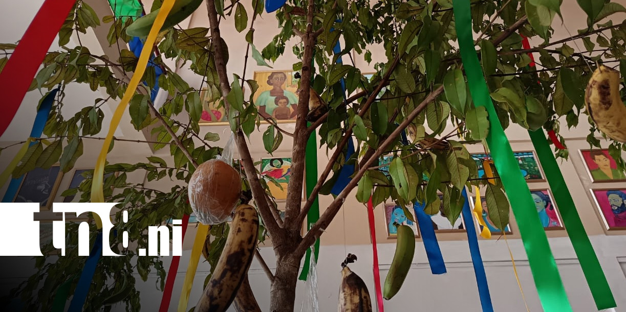 Foto: Celebración del Palo de Mayo, autenticidad del Caribe / TN8