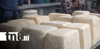 Foto: Precios del queso en mercados de Managua