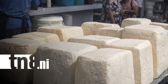 Foto: Precios del queso en mercados de Managua