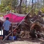 Foto: Accidente laboral cobra la vida de un hombre en Niquinohomo/TN8