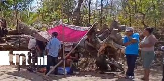 Foto: Accidente laboral cobra la vida de un hombre en Niquinohomo/TN8