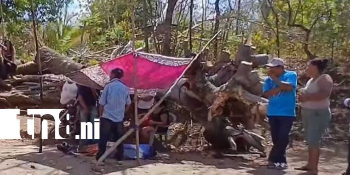 Foto: Accidente laboral cobra la vida de un hombre en Niquinohomo/TN8