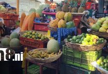 Comerciantes de Managua reportan ventas millonarias en Semana Santa Foto: Venta de frutas en Semana Santa 2026 en Nicaragua / TN8