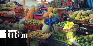 Foto: Venta de frutas en Semana Santa 2026 en Nicaragua / TN8