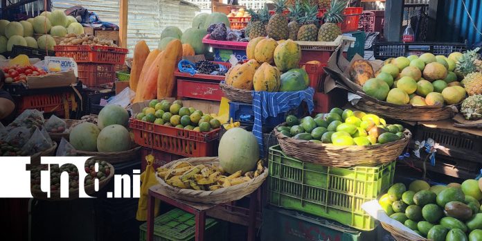 Foto: Venta de frutas en Semana Santa 2026 en Nicaragua / TN8
