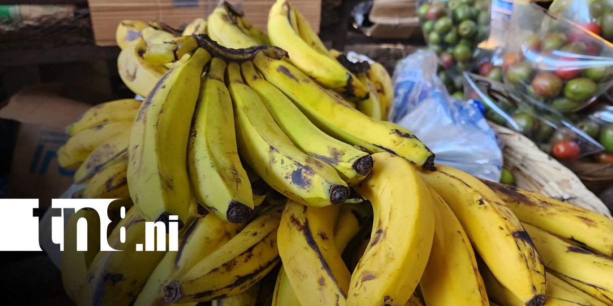 Foto: Venta de frutas en Semana Santa 2026 en Nicaragua / TN8