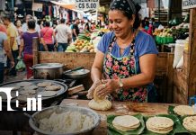 Foto: Precios de la canasta básica en Nicaragua, maíz asegurado / TN8