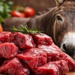 Foto: Carne de burro, ¿una opción en Argentina?