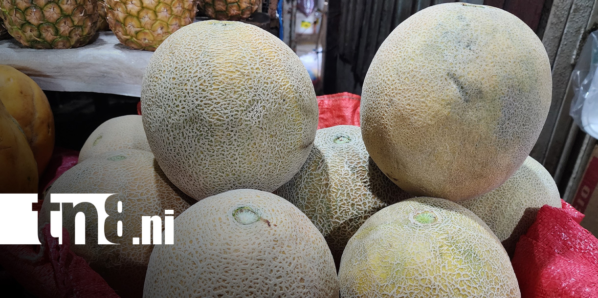 Foto: Venta de frutas en Semana Santa 2026 en Nicaragua / TN8