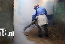 MINSA no detiene su lucha contra el dengue en Managua