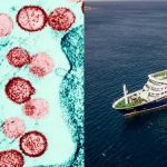 La OMS calma temores: riesgo por hantavirus es bajo a nivel público Foto: OMS confirma bajo riesgo por hantavirus en crucero/ Cortesía