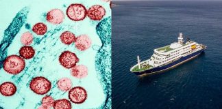 Foto: OMS confirma bajo riesgo por hantavirus en crucero/ Cortesía
