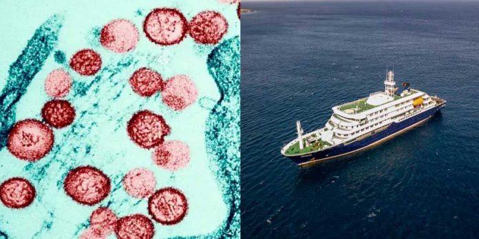 1 Foto: OMS confirma bajo riesgo por hantavirus en crucero/ Cortesía