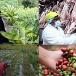 Foto: Presentan el Plan Nacional de Producción, Consumo y Comercio 2026-2027 / Cortesía