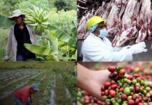 Foto: Presentan el Plan Nacional de Producción, Consumo y Comercio 2026-2027 / Cortesía