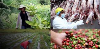 Foto: Presentan el Plan Nacional de Producción, Consumo y Comercio 2026-2027 / Cortesía
