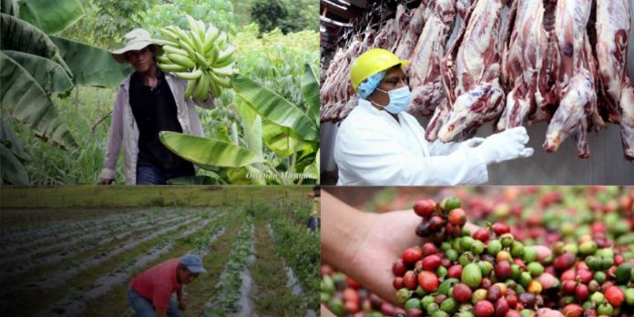 1 Foto: Presentan el Plan Nacional de Producción, Consumo y Comercio 2026-2027 / Cortesía