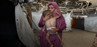 Foto: Emergencia humanitaria en Gaza /cortesía