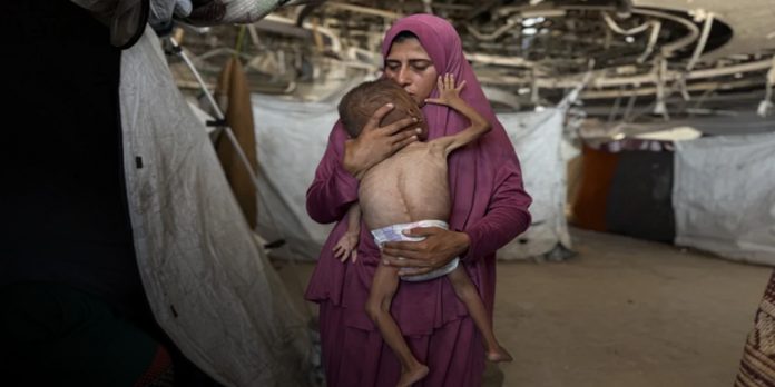 Foto: Emergencia humanitaria en Gaza /cortesía