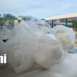 Managua se refresca con coco ante las sofocantes temperaturas Foto: Agua de coco, el alivio natural ante el intenso calor en Managua/TN8