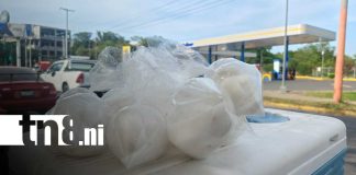 Foto: Agua de coco, el alivio natural ante el intenso calor en Managua/TN8