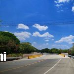 Foto: Instalan puentes aéreos para proteger monos en la carretera Costanera/TN8