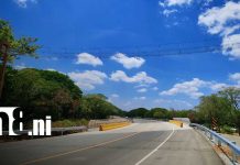 Rivas impulsa conservación de fauna con puentes aéreos en la Costanera Foto: Instalan puentes aéreos para proteger monos en la carretera Costanera/TN8