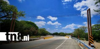 Foto: Instalan puentes aéreos para proteger monos en la carretera Costanera/TN8