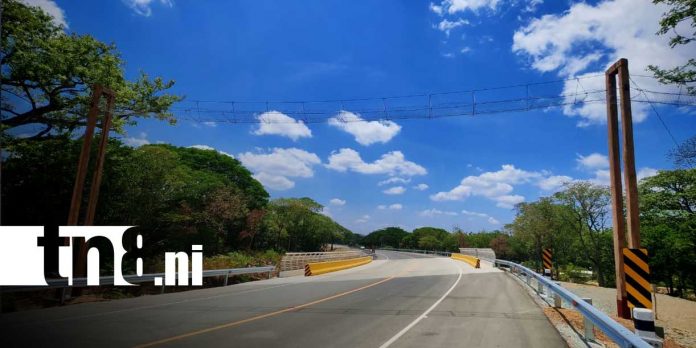 Foto: Instalan puentes aéreos para proteger monos en la carretera Costanera/TN8 Foto: Instalan puentes aéreos para proteger monos en la carretera Costanera/TN8