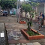 Foto: Piden cerrar callejón en Villa Libertad tras brutal agresión/TN8