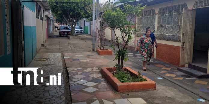Foto: Piden cerrar callejón en Villa Libertad tras brutal agresión/TN8