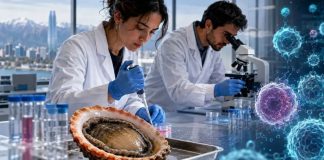 Foto: Chile prueba vacuna contra cáncer de piel/ Cortesía
