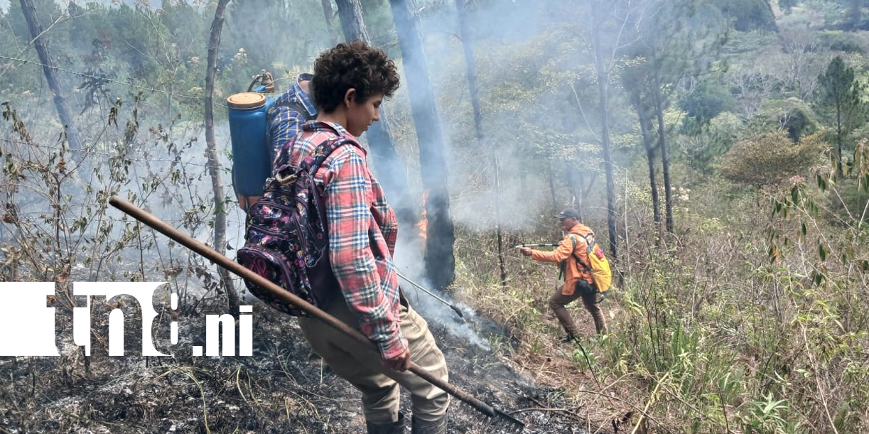 Foto: Reporte de SINAPRED sobre los incendios forestales /TN8