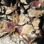 Rusia sorprende con IA capaz de revolucionar la geomecánica minera Foto:Rusia desarrolla solución de inteligencia artificial que transforma la minería/Cortesía