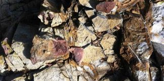Foto:Rusia desarrolla solución de inteligencia artificial que transforma la minería/Cortesía
