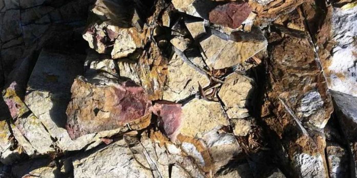 Foto:Rusia desarrolla solución de inteligencia artificial que transforma la minería/Cortesía