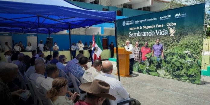 Foto: México y Cuba fortalecen el campo/Cortesía Foto: México y Cuba fortalecen el campo/Cortesía