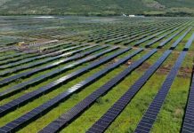 Foto: ENACAL pone en operación planta solar ENESOLAR 1 en San Isidro / Cortesía