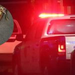 Foto: Madre e hija sobreviven a machetazo en Yoro/ Cortesía