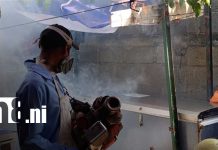 Prevención y fumigación: la estrategia del MINSA para proteger Managua Foto: Managua se une a la batalla contra el zancudo junto al MINSA/ TN8