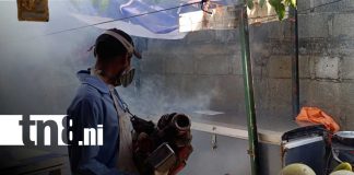 Foto: Managua se une a la batalla contra el zancudo junto al MINSA/ TN8