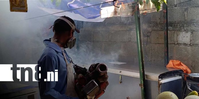 Foto: Managua se une a la batalla contra el zancudo junto al MINSA/ TN8