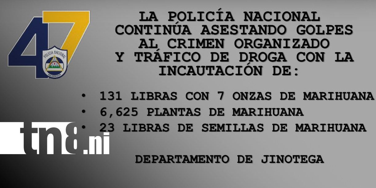 Foto: Policía Nacional asesta duros golpes al narcotráfico en Jinotega / TN8