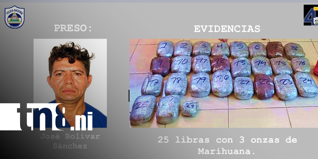 Foto: Marihuana ocupada en Somotillo supera 25 libras/TN8