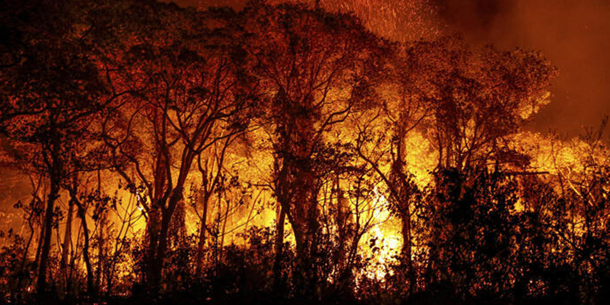 Foto: Fuego afecta la mayor reserva ecológica de España /Cortesía
