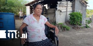 Foto: Ayuda para adulta mayor que necesita reparar su casa/TN8