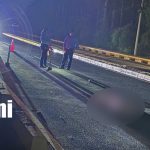 Hombre muere presuntamente arrollado por cabezal en Granada Foto: Hombre muere presuntamente arrollado por cabezal en Granada/TN8