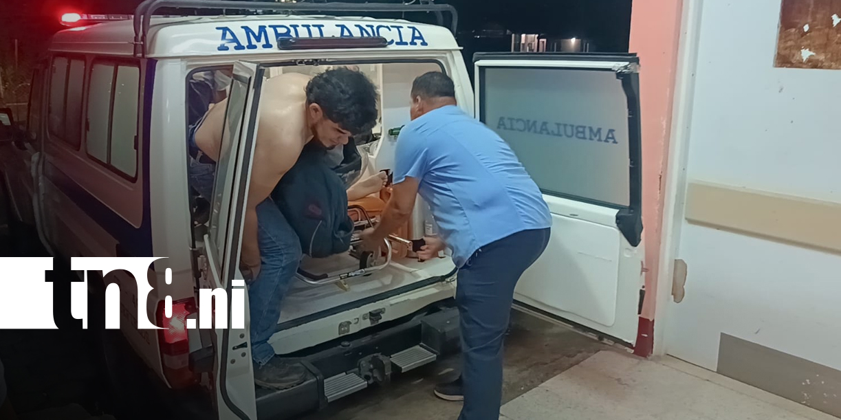 Foto: Caballo suelto en la vía provoca grave accidente en la ruta Kukra Rivers - Bluefields/TN8