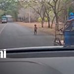 Foto: Niño queda expuesto al tránsito en Tipitapa y causa preocupación/TN8