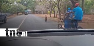 Foto: Niño queda expuesto al tránsito en Tipitapa y causa preocupación/TN8